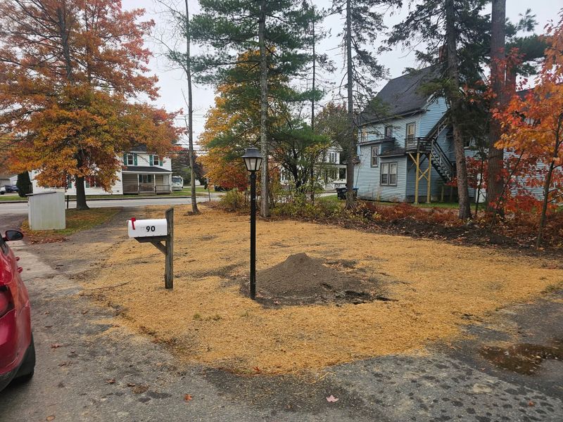 Landscaping gallery