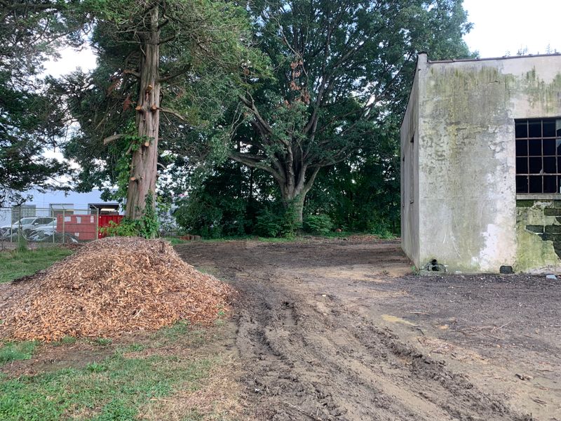 Land Clearing