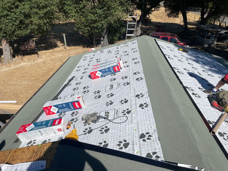 Roofing Replacement