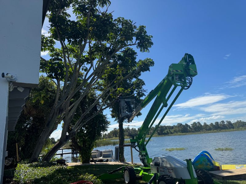 Land Clearing