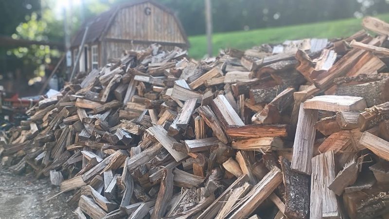Firewood