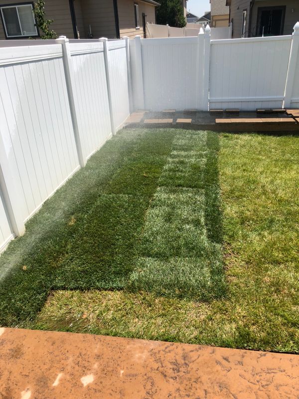 Landscape Design