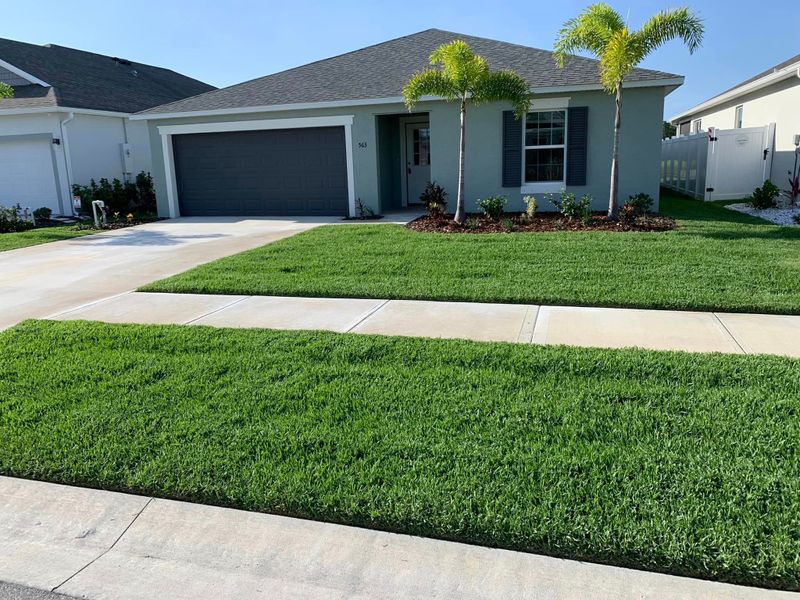Lawn Care