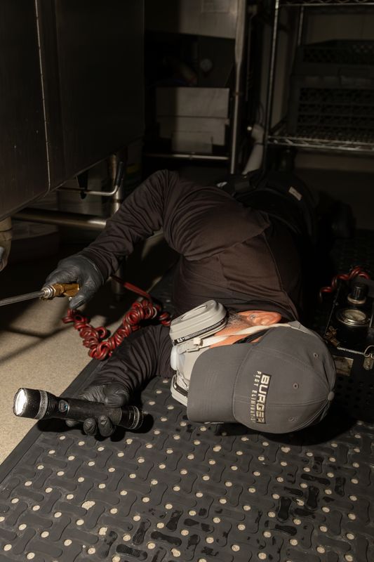Commercial Pest Control