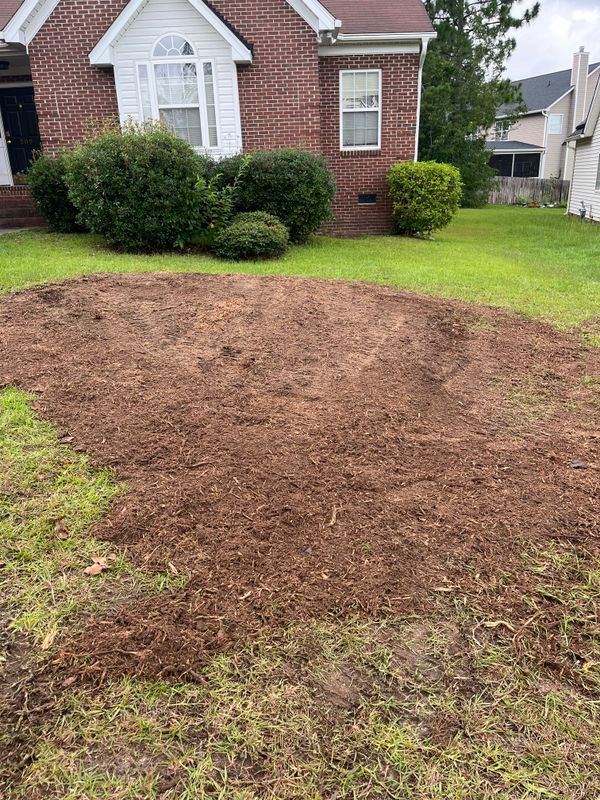 Stump Removal