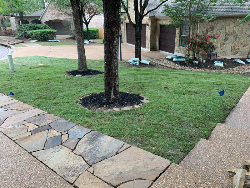 Landscape Design & Installation