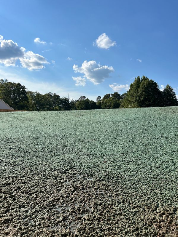 Hydroseeding gallery