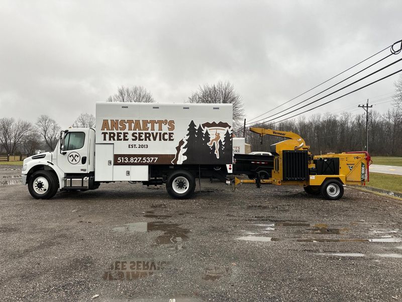 Tree Trimming
