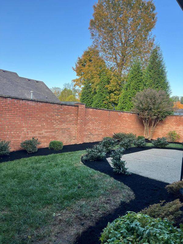 Patio Design & Construction