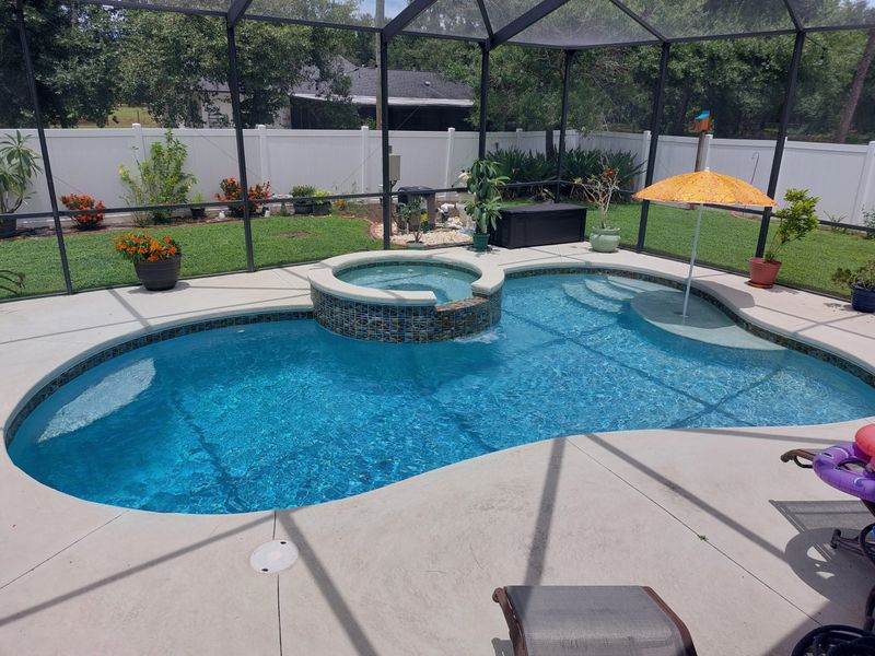 Pool Cleaning