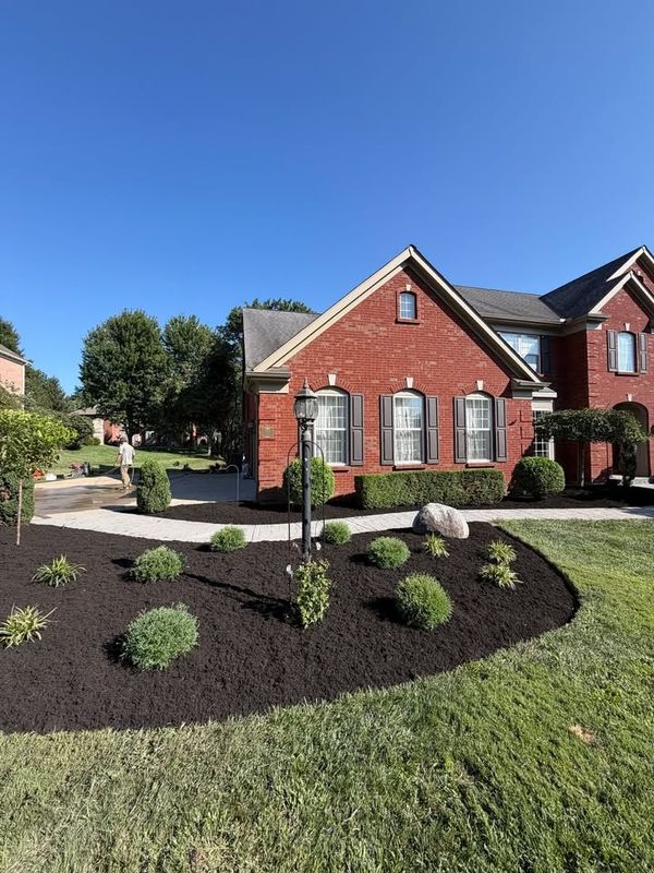 Brick Home Landscape Elegance in Independence, KY