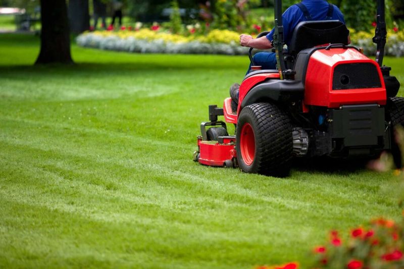 Lawn Maintenance