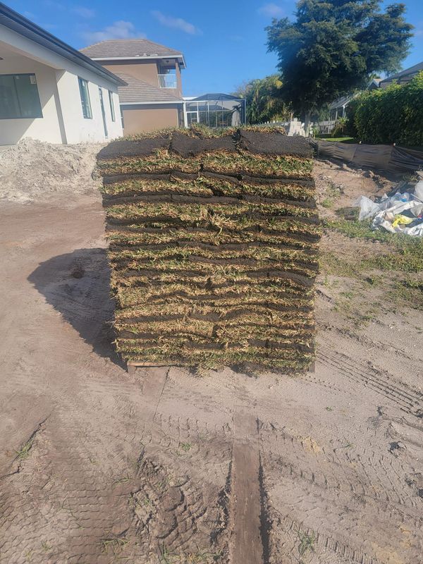 Sod Installation