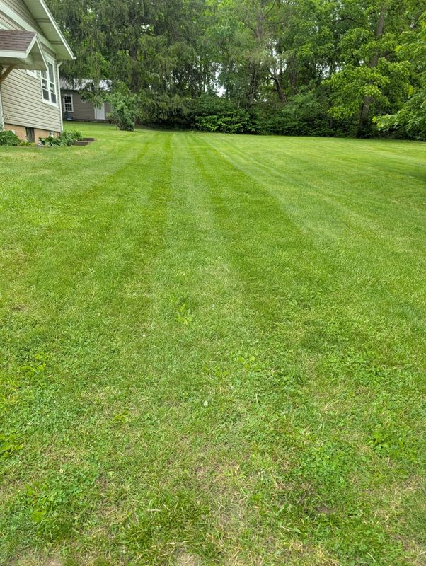 Lawn Maintenance