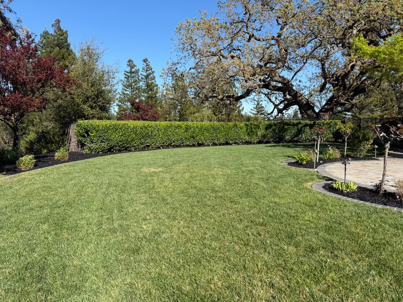 Landscaping
