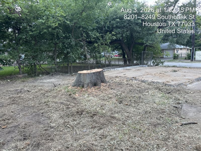 Tree trimming and removal