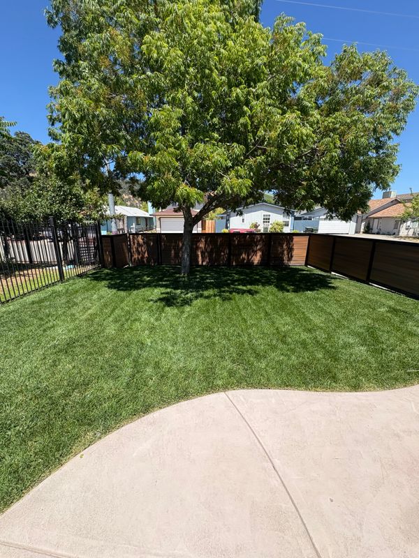 Tree & Shrub Care