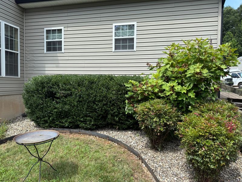 Mulch Installation