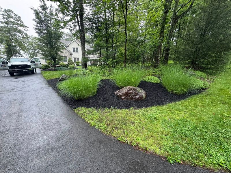 Plant & Shrub Installations