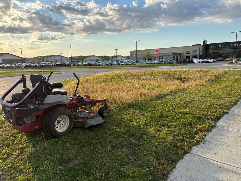 Field Mowing