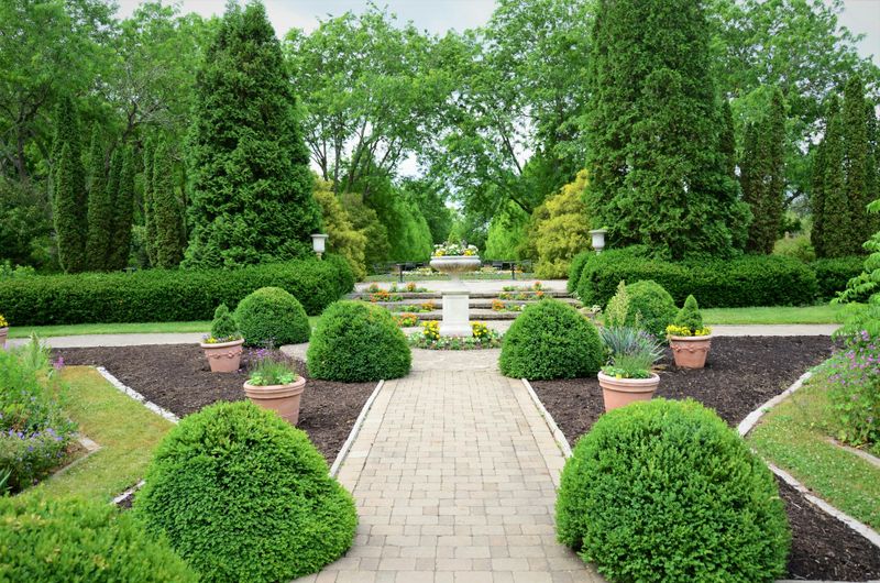 Garden Maintenance