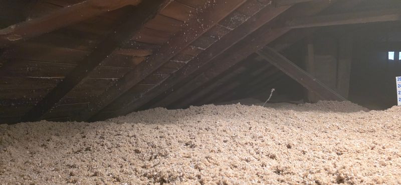 Eco-Friendly Insulation Options