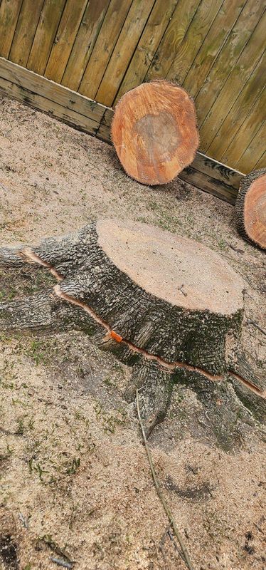 Tree Removal