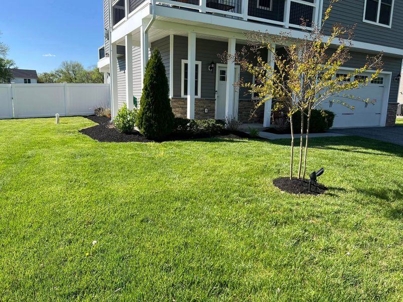 Lawn Maintenance