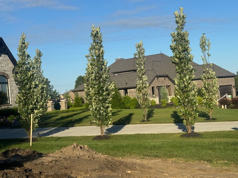 Mulch Installation
