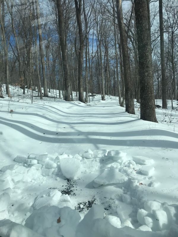Winter Road Revival: Expert Snow Removal & Gravel Maintenance by 9999 Building and Renovation LLC