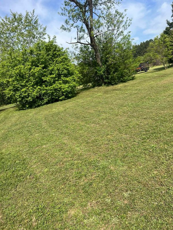 Landscaping
