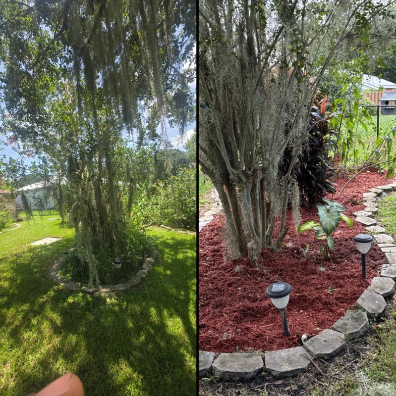 Tree and Hedge Care