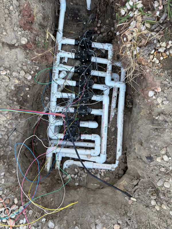 Valve Repair and Replacement