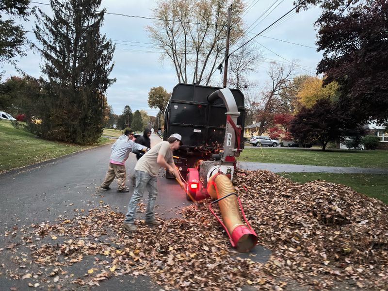 Fall cleanup