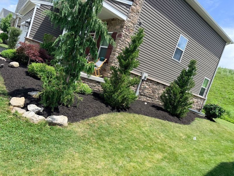 Landscaping