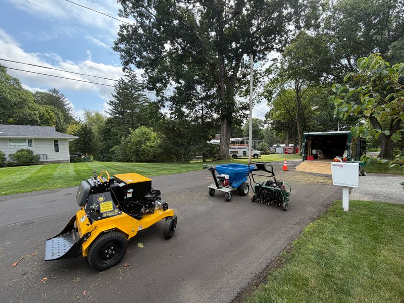 Lawn Maintenance