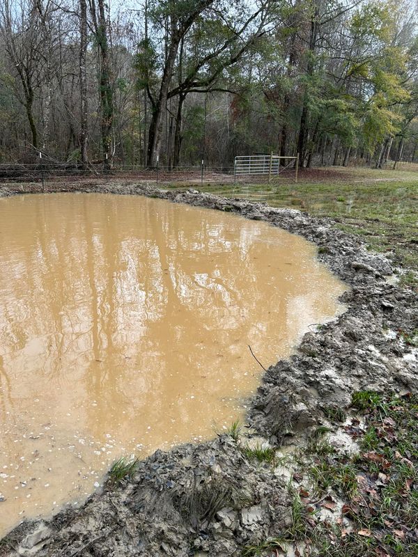 Pond Restoration