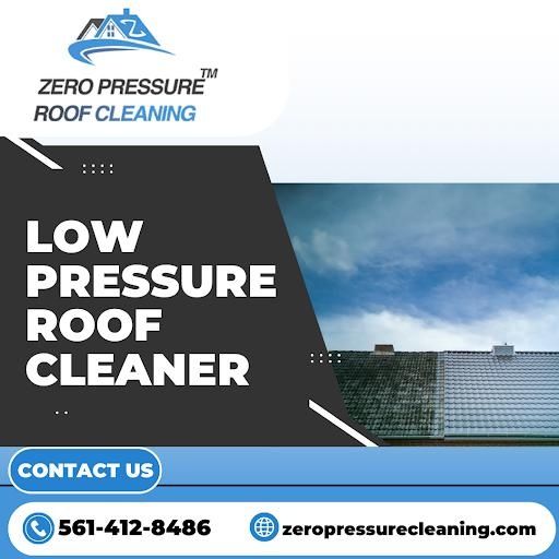 Roof Cleaning
