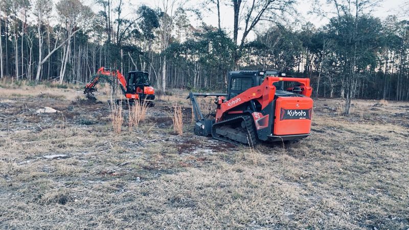Forestry Mulching