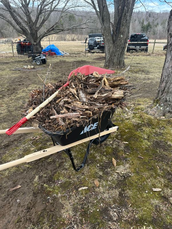 Fall Clean Up