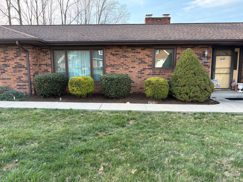 Lawn Maintenance