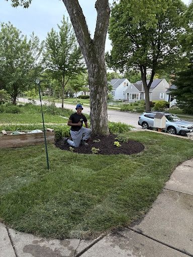 Sod Installation