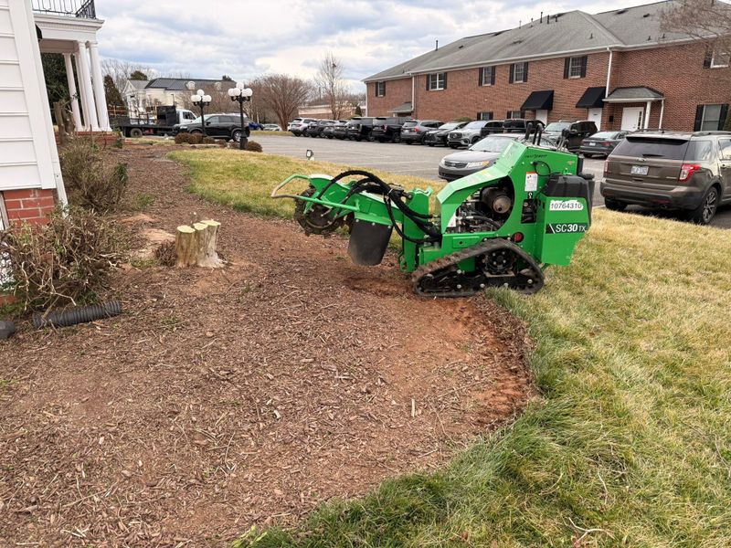 Other Lawn Maintenance