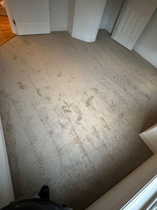 Carpet Installation and Repair