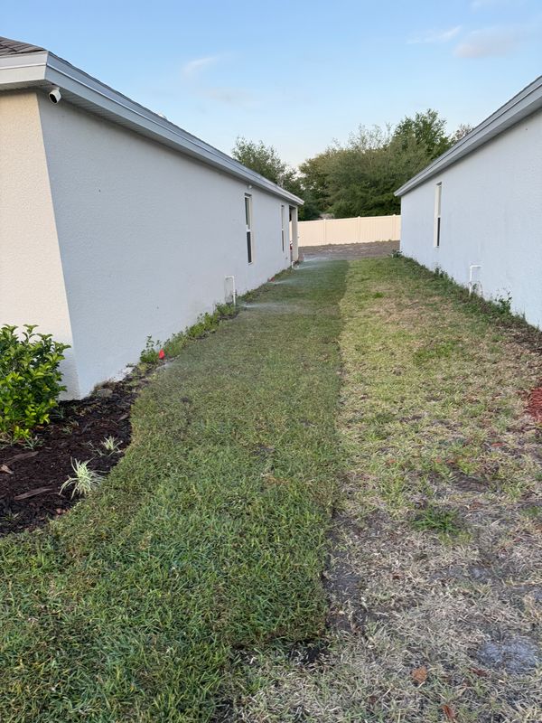 Sod Installation