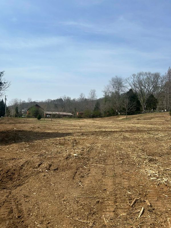 Land Clearing