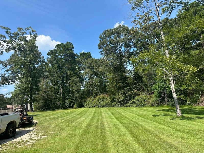 Landscaping 