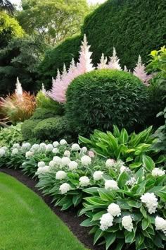 Shrub Trimming