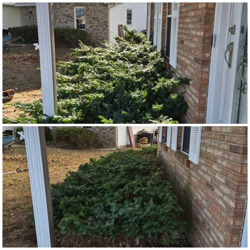 Seasonal Cleanups