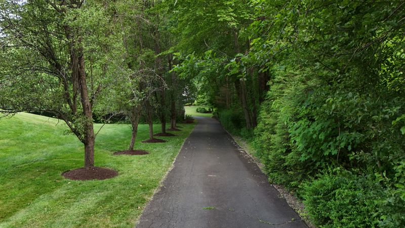 Landscape Maintenance gallery